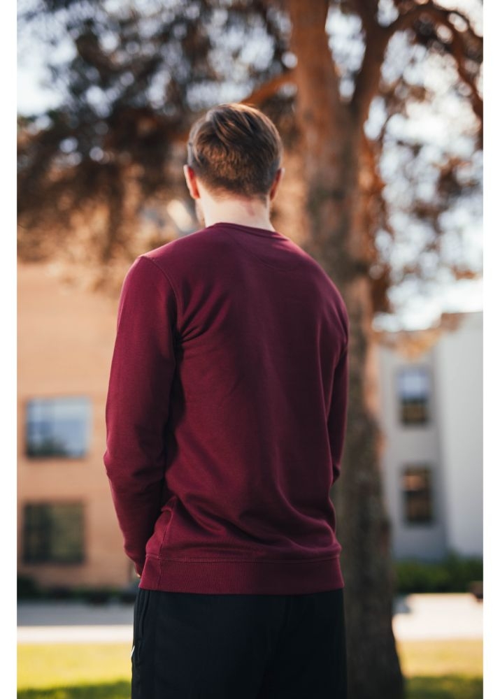 Unisex burgundy sweater TALTECH