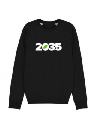 Green transformation sweater 2035 